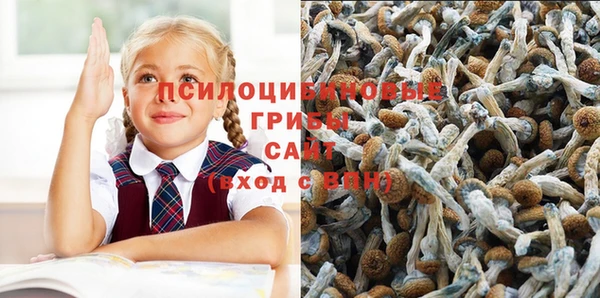 соль курить ск Богданович