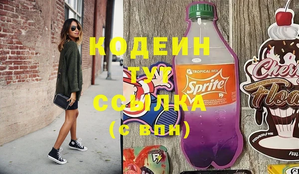 соль ск Верхний Тагил