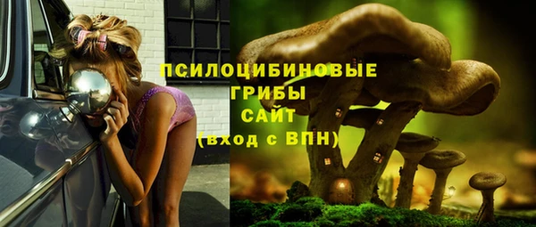 не бодяженный Богородск