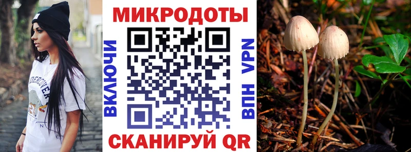 Купить где  Жердевка  Галлюциногенные грибы MAGIC MUSHROOMS 